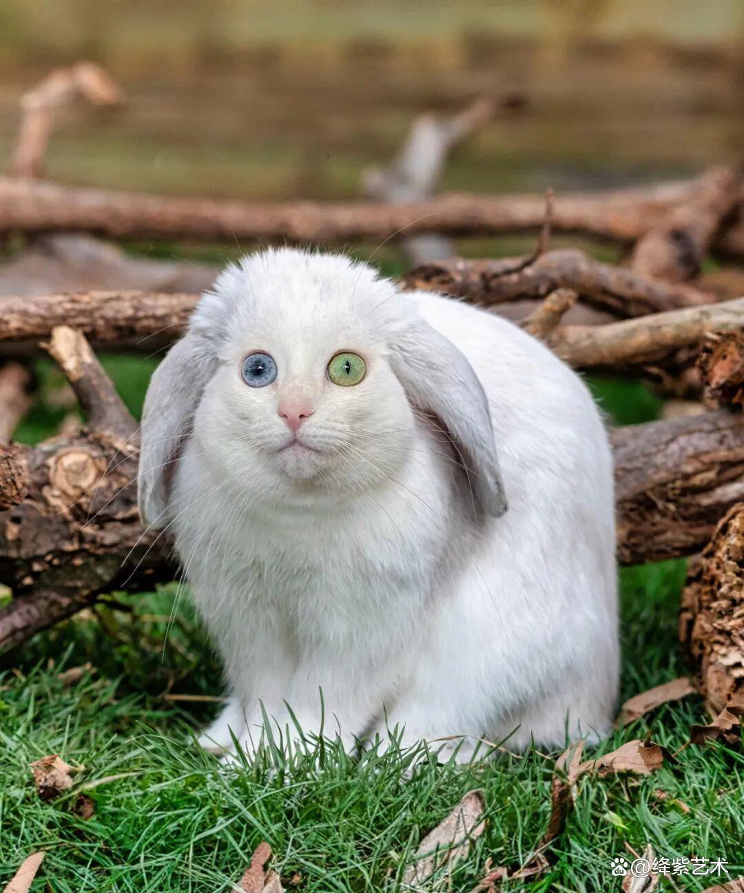 农业农村部派出工作组和科技小分队赴一线指导春季农业生产 ｜ 澳门大三巴免费大巴时刻